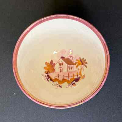 Teacup