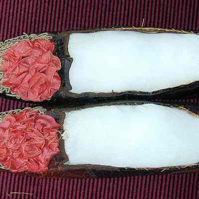 Shoe