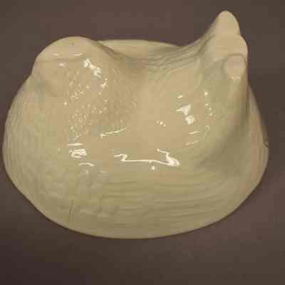 Food Mold