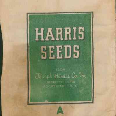 Seed Sack
