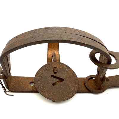 Small Animal Trap