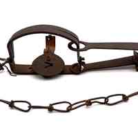 Small Animal Trap - Image 2