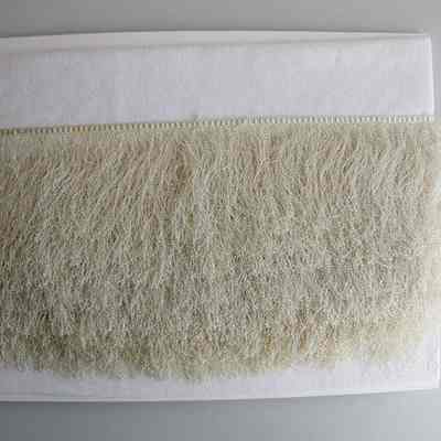 Notion, Fringe