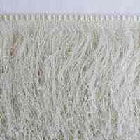 Notion, Fringe - Image 2