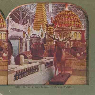 Stereograph