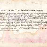 Stereograph - Image 2