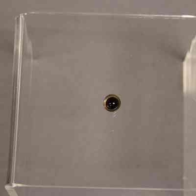 Button