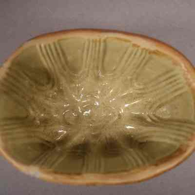 Food Mold
