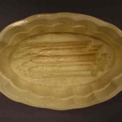 Food Mold