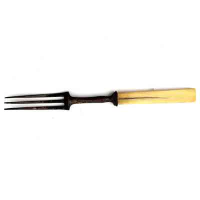 Fork