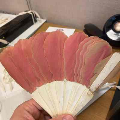 Fan, Hand