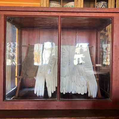 Display Case