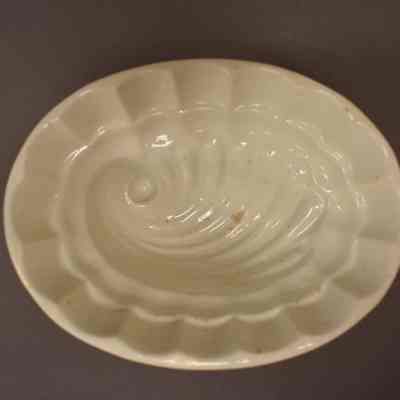 Food Mold