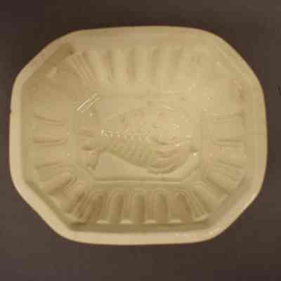 Food Mold