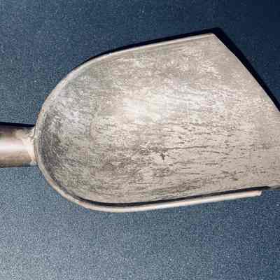 Scale Scoop