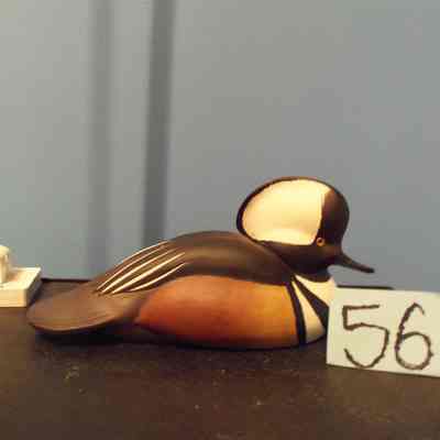 Hooded Merganser