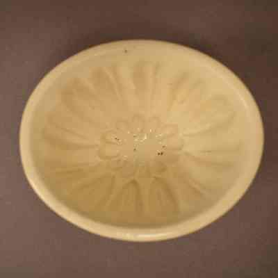 Food Mold