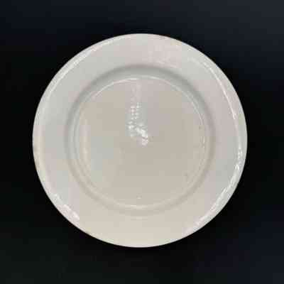 Dinner Plate