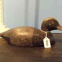 Hollow Bluebill Drake - Image 2