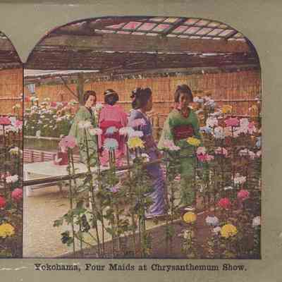 Stereograph