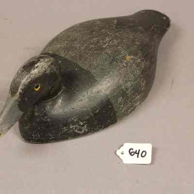 Hollow Bluebill Drake