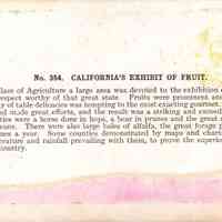 Stereograph - Image 2
