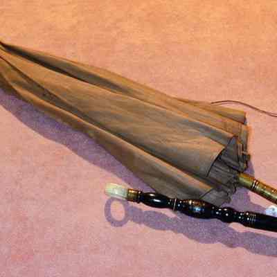 Parasol