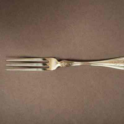 Strawberry Fork