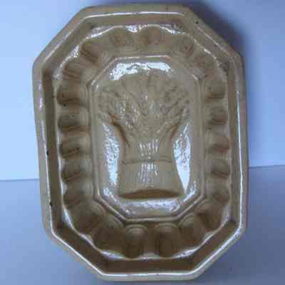 Food Mold