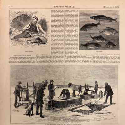 Harper's Weekly Page, 1873