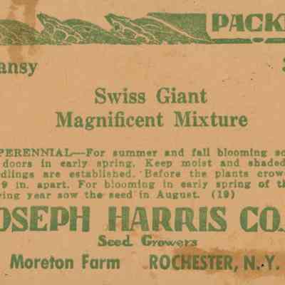 Seed Packet, Pansy