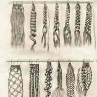 2 Rows of Examples of Braidd Hair Switches