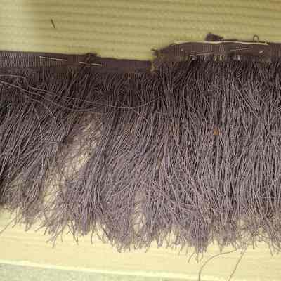 Notion, Fringe