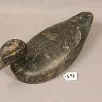 Black Duck - Image 3
