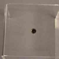 Button - Image 2