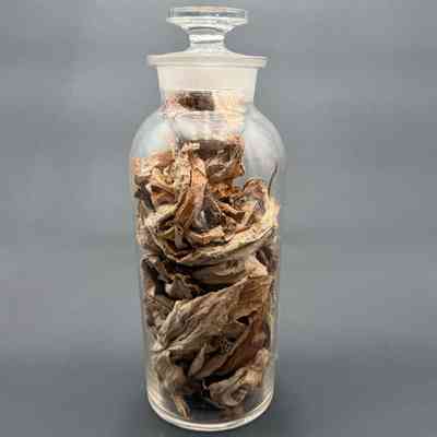 Apothecary Bottle