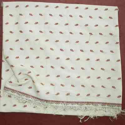 Shawl