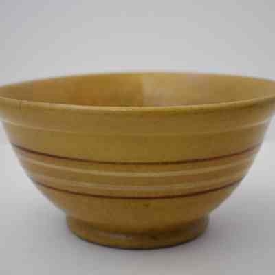 Food Storage Bowl