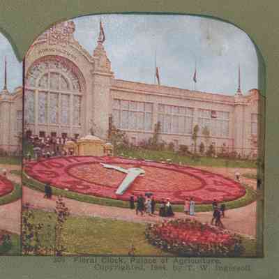 Stereograph