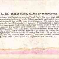 Stereograph - Image 2