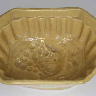 Food Mold