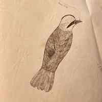 Form Book from Eastman Business College - Image 4