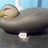 Black Duck - Image 2