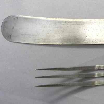 Knife and Fork Set