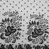 Veil - Image 2