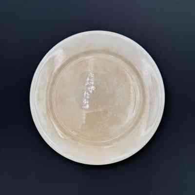 Dinner Plate