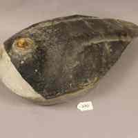 Decoy - Image 5