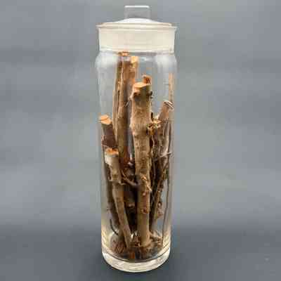 Apothecary Bottle