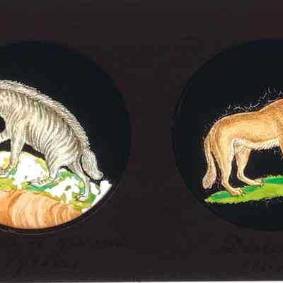 Transparency, Lantern Slide