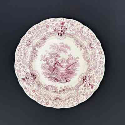 Dinner Plate